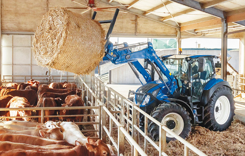Brazil New Holland tractor with cattle