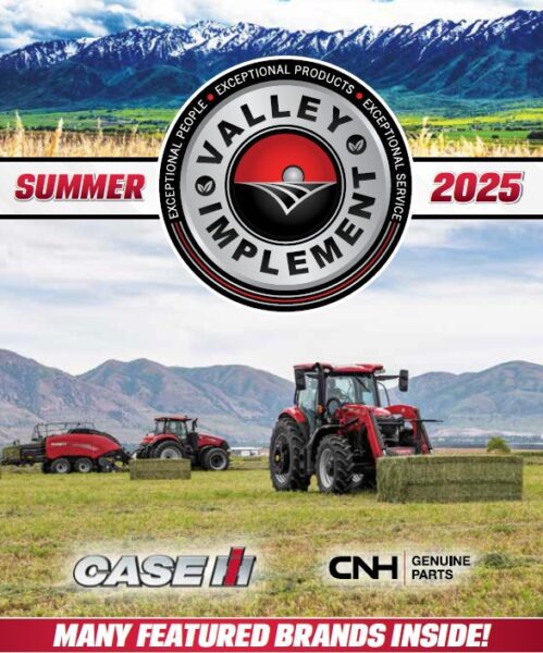 summercoverbookletAG